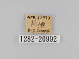 W:piDؽ(pi)(1282-20992)