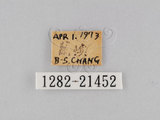 W:piDؽ(pi)(1282-21452)