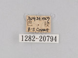 W:jiDؽ(1282-20794)
