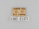 W:jiDؽ(1282-21371)