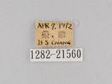 W:jiDؽ(1282-21560)