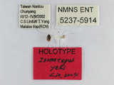 ǦW:Isometopus yehi Lin, 2004(5237-5914)