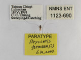 ǦW:Bryocoris (Bryocoris) formosensis Lin, 2003(1123-690)