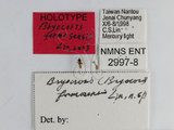 ǦW:Bryocoris (Bryocoris) formosensis Lin, 2003(2997-8)