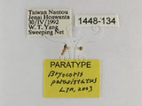 ǦW:Bryocoris Cobalorrhynchus paravittatus Lin, 2003(1448-134)