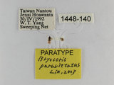 ǦW:Bryocoris Cobalorrhynchus paravittatus Lin, 2003(1448-140)