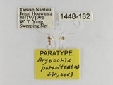 ǦW:Bryocoris Cobalorrhynchus paravittatus Lin, 2003(1448-182)
