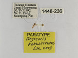 ǦW:Bryocoris Cobalorrhynchus paravittatus Lin, 2003(1448-236)