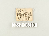 W:\潺(1282-16819)