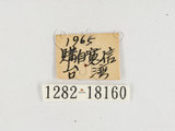 W:{q潺(1282-18160)