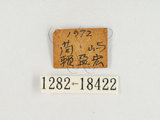 W:Ks潺(1282-18422)