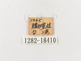 W:潺(1282-18410)