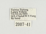 W:[y潺(潺)(2007-41)