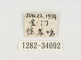 中文名:黃斑椿象(1282-3409...