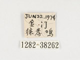 中文名:黃斑椿象(1282-3826...