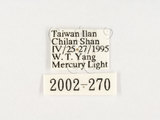 中文名:黃斑椿象(2002-270)