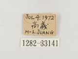 中文名:黃背角盾椿(1282-331...