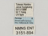 ǦW:Hasora anura taiwana Hsu, Tsukiyama & Chiba, 2005(3151-894)