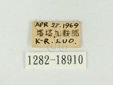 中文名:阿里山小灰蛺蝶(1282-1...