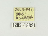 W:s[pǽ(j[ǽ)(1282-18821)