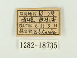 W:ȭIpǽ(1282-18735)