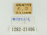 W:?Kpǽ(1282-21496)