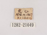 W:F[pǽ(1282-21049)