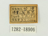 中文名:淡青雀斑小灰蝶(1282-1...