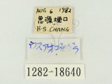 W:HCpǽ(1282-18640)