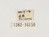 中文名:大黑艷蟲(1282-1615...