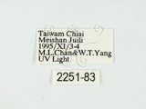 中文名:四斑紅蝽(2251-83)