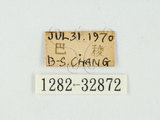 中文名:彩虹吉丁蟲(1282-328...