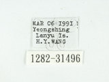 W:e{R(1282-31496)