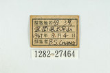 中文名:平山小灰蝶(1282-27464)學名:Rapala nissa hirayamana Matsumura, 1926(1282-27464)