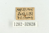 中文名:松吉丁蟲(1282-3282...