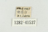 中文名:松斑天牛(1282-4153...