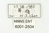 中文名:鹿角鍬形蟲(6001-2504)學名:Rhaetulus crenatus crenatus Westwood, 1871(6001-2504)