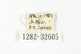 中文名:大偽瓢甲(1282-3260...