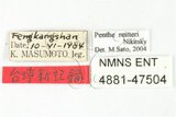中文名:紅斑黑偽蕈甲(4881-47...