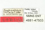 中文名:紅斑黑偽蕈甲(4881-47...
