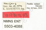 中文名:紅斑黑偽蕈甲(5503-40...