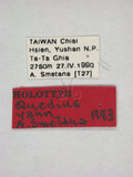 學名:Quedius (Raphirus) yann Smetana, 1995(1938-7)
