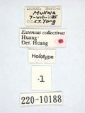 ǦW:Extensus collectivus Huang, 1989(220-10188)