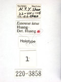 ǦW:Extensus latus Huang, 1989(220-3858)
