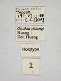 ǦW:Onukia chiangi Huang, 1992(490-336)