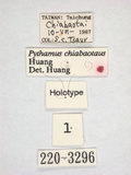ǦW:Pythamus chiabaotawow Huang, 1992(220-3296)