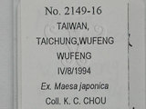 中文名:山桂花粉蝨(2419-16)學名:Asialeyrodes maesae (Takahashi, 1934)(2419-16)