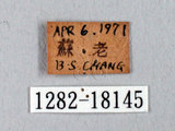 W:xW?(1282-18145)