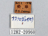 W:xW?(1282-20960)