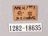 中文名:蓬萊烏小灰蝶(1282-18635)